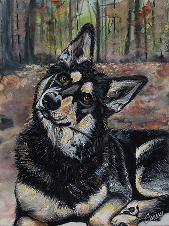 dog