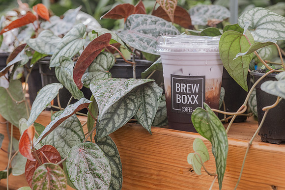 brewboxx-37