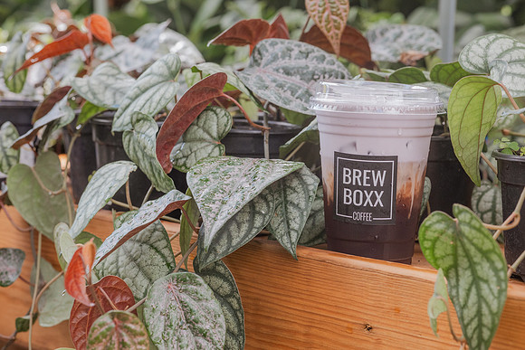 brewboxx-38