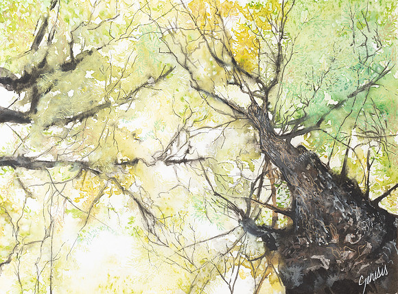 E89A4367-Edit-Enhanced-SR